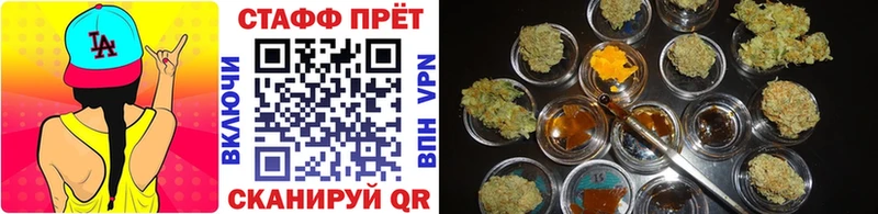Псилоцибиновые грибы Иланский